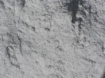Lavender Powder Fine